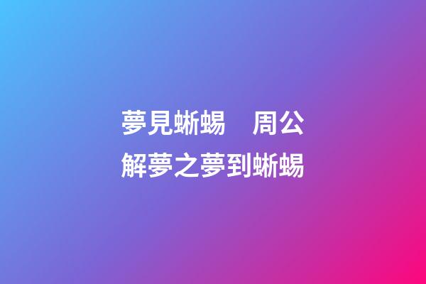 夢見蜥蜴　周公解夢之夢到蜥蜴